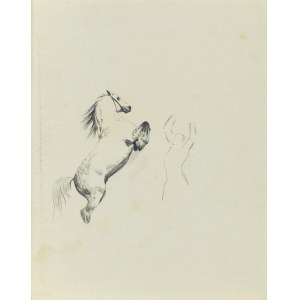 Ludwik MACIĄG (1920-2007), Skizze eines willigen Pferdes