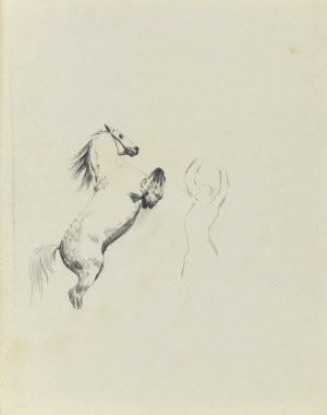Ludwik MACIĄG (1920-2007), Szkic wierzgającego konia