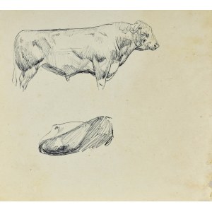 Ludwik MACIĄG (1920-2007), Bull.