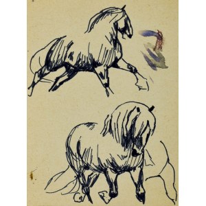 Ludwik MACIĄG (1920-2007), Skice koňa v dvoch pohľadoch