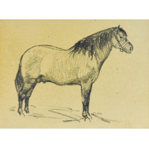 Ludwik MACIĄG (1920-2007), Horse captured from the left side