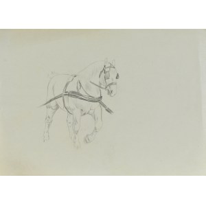 Ludwik MACIĄG (1920-2007), Sketch of a horse