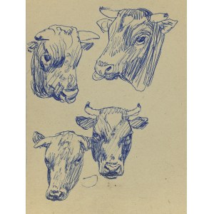 Ludwik MACIĄG (1920-2007), Skizzen der Köpfe eines Stiers und einer Kuh