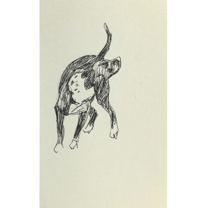 Ludwik MACIĄG (1920-2007), Skizze eines Hundes