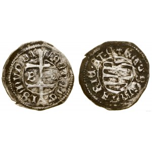 Węgry, denar, bez daty (1436-1437), Buda