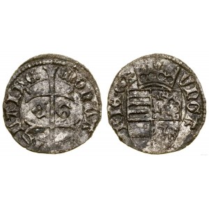 Węgry, denar, bez daty (1457), Koszyce