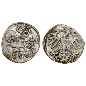 Polska, denar, 1556, Wilno