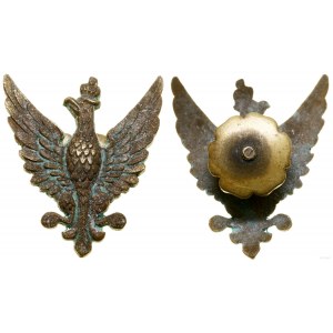 Poland, Eagle from the patka of a certified officer