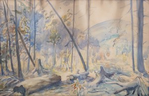 Jan Kazimierz Olpiński (1875 Lwów - 1936 tamże), Las