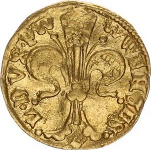 Václav I. (1348-1364), Goldgulden b.l., Lehnice Fr. 3136; Kop. 4907 3,51