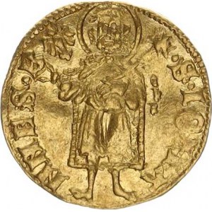 Václav I. (1348-1364), Goldgulden b.l., Lehnice Fr. 3136; Kop. 4907 3,51