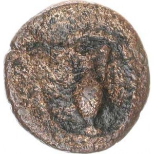 Parthie, Pacorus II. (kol. r. 78-105 po Kr.), AE 13, Hlava krále / amfora Sear 5821 ? (1,603 g)