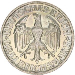 Výmarská republika (1918-1933), 3 RM 1928 D - Dinkelsbühl KM 59 RRR 15,042 g