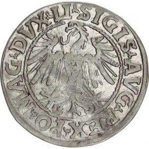 Polsko, Zikmund I. (1506-1548), 1/2 Groš litevský 1546 Zag. 65, mír. zvlněn