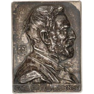 Scharff Anton (1845-1903), Carl Ritter von Ernst, busta zprava, nápis / Zasloužilý člen numi