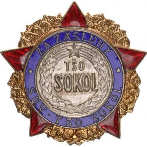 Sokolské odznaky, ZA ZÁSLUHY - TŠO SÚV SOKOL (Tělovýchovná športová organizácia-