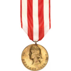 Československo, Pam.medaile Druhého národního odboje VM III/20, Nov. 35