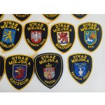 Satz/Kollektion von städtischen Polizeiabzeichen