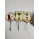 People's Republic of Poland - Murder at Palmiry pin set