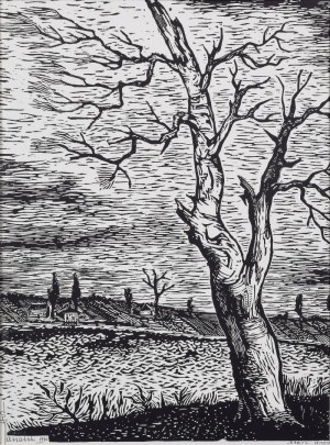 Stefan RASSALSKI (1910-1972), Stare drzewo, 1962