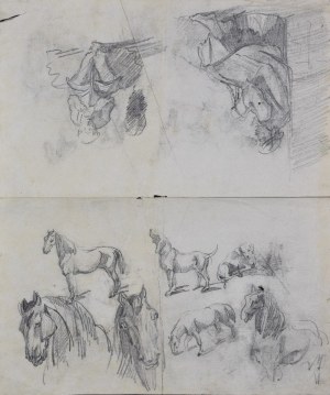Piotr MICHAŁOWSKI (1800-1855), Szkice postaci i koni