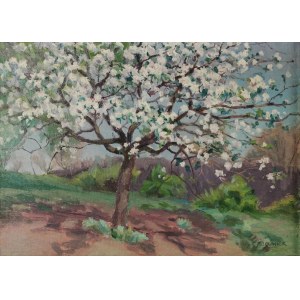 Theodore ZIOMEK (1874-1937), Flowering Tree