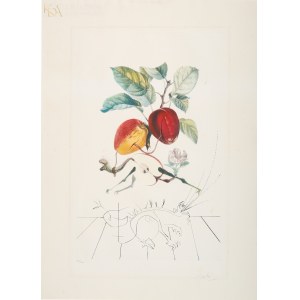 Salvador DALI (1904-1989), Dragon apple (Pomme dragon) from the series Flordali - Les Fruits (1969).