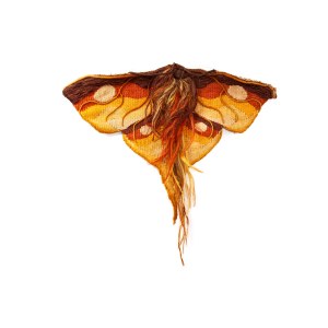 JADWIGA KOZUCHOWSKA (b. 1936), Gobelin Moth.