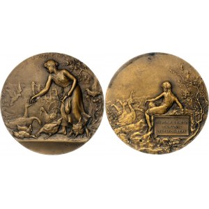 France Bronze Medal Aviculture (Poultry) 1900 th