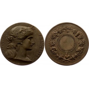 France Bronze Medal Comice d'Encouragement a l'Agriculture et a l'Horticulture de Seine et Oise 19 - 20th Century (ND)