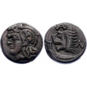 Ancient Greece Pantikapaion Tetrahalk 310 - 304 BC Pan/Lion