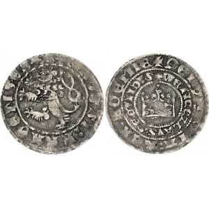 Bohemia 1 Gross 1310 -1346 (ND) Collectors Copy