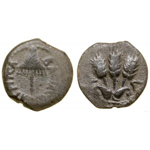 Provinz Rom, prutah, 42-43 ne, Jerusalem