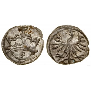 Poland, denarius, no date