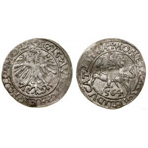 Polen, litauischer Halbpfennig, 1564, Vilnius