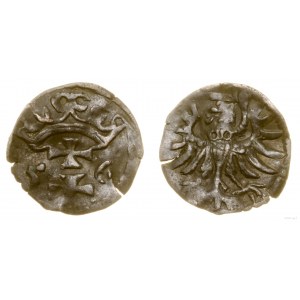 Poland, denarius, 1556, Gdansk