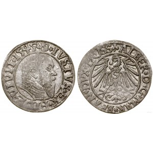 Ducal Prussia (1525-1657), penny, 1545, Königsberg