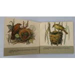 DESSELBERGER JERZY Vogeluhr; Vogelkalender, Vogelnester, Vögel am Futterhäuschen (komplett)