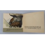 DESSELBERGER JERZY Ptasi zegar; Ptasi kalendarz, Ptasie gniazda, Ptaki przy karmniku (komplet)