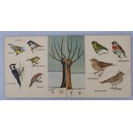 DESSELBERGER JERZY Ptasi zegar; Ptasi kalendarz, Ptasie gniazda, Ptaki przy karmniku (komplet)