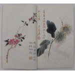 Album „Beijing Rongbao Zhai Xin Ji Shi Jian Pu”