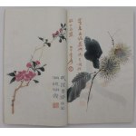 Album Beijing Rongbao Zhai Xin Ji Shi Jian Pu