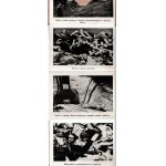 [Deutsche und sowjetische Verbrechen - Besatzung - Konzentrationslager - Holocaust - Auschwitz - Majdanek - Dachau] Sammlung von Büchern und Graphiken