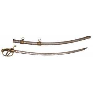 Cavalry officer's saber, France, 19th century.