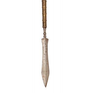 Zbrane s listovým hrotom kopije, 19. storočie.