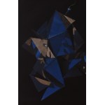Jan Smaga (né en 1974 à Varsovie),  Projection No. 11/ Santa Monica , 2013