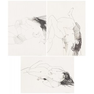 Dorota Nieznalska (ur. 1973, Gdańsk), Bez tytułu (zestaw 3 rysunków), 2008