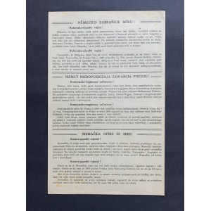 [Leaflet] Germans not allowed to conclude peace! Austrian-Hungarian soldiers! [1917]