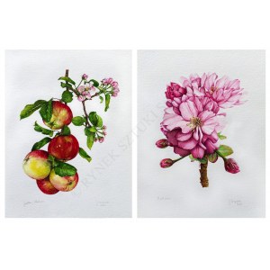 Joanna Szczepanek, Apple and Cherry Blossom