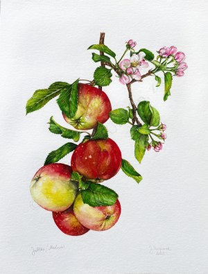 Joanna Szczepanek, Jabłko i Kwiat wiśni
